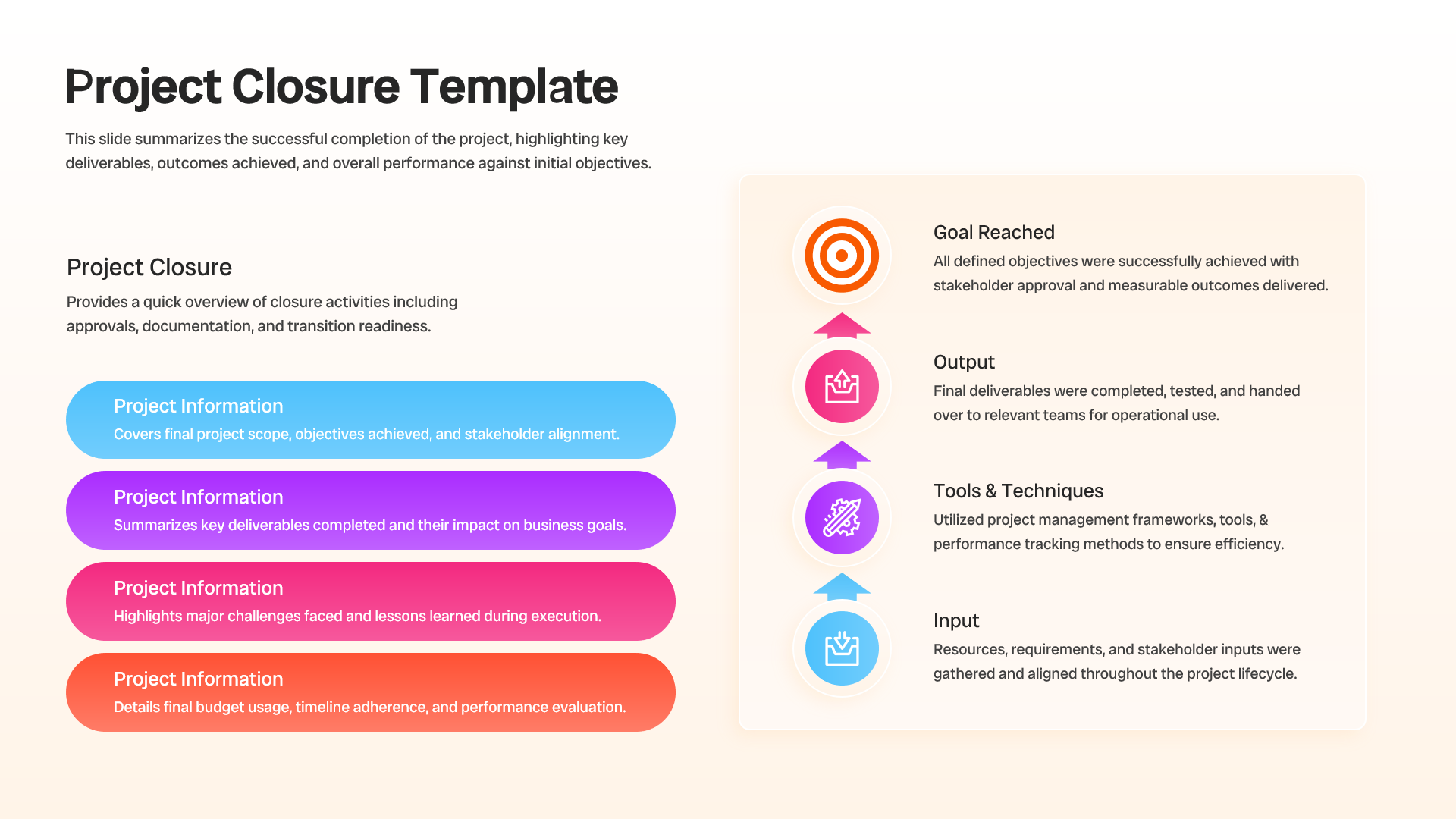 Project outcome summary slide featuring goals achieved, outputs, tools, and project inputs